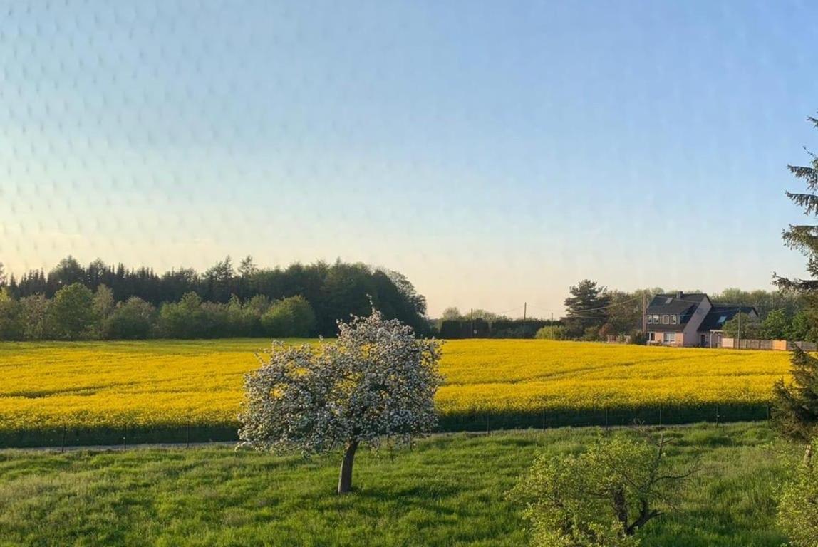 Kleine Auszeit Mit Aussicht Velbert Toenisheide Daire Dış mekan fotoğraf
